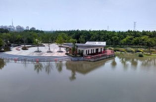康橋生態園沔青綠地門票,上海康橋生態園沔青綠地攻略 地址 圖片 門票價格