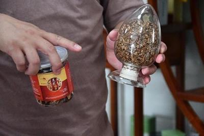 江財財稅學子探訪井岡山益生緣 探索靈芝生態產業鏈與鄉村振興新路徑