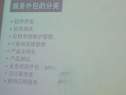 軟件學院成功舉辦“軟件服務外包發展趨勢與網絡技術服務創新”專題講座